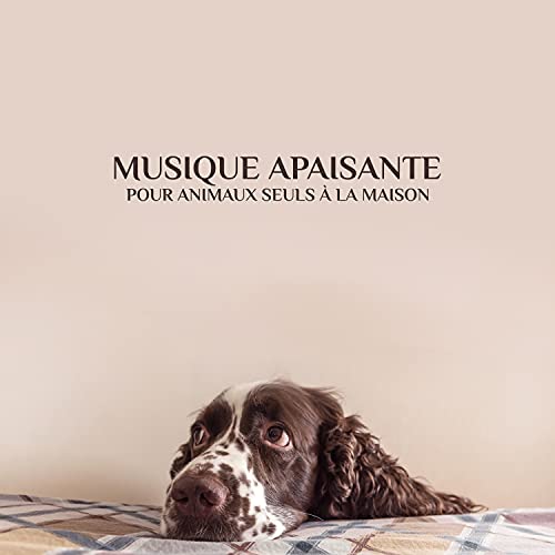 Dans mon lit pour chien – Produktbild (Amazon)