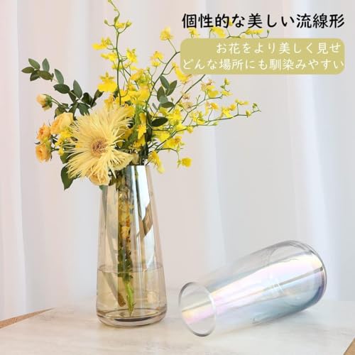 Vase design en verre pour composition florale et terrarium - 6