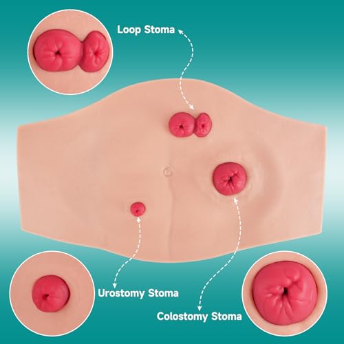Image of Wearable Belly Ostomy Care Trainer Kit with 3 Stoma Models