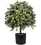 Amazon｜【Charming Club】人工観葉植物 ツゲ フェイクグリーン 鉢植え