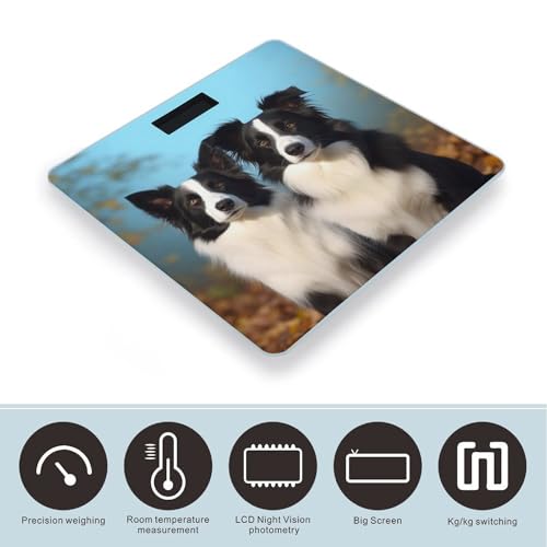 Báscula digital Border Collie para peso corporal 400 lb miniatura 3