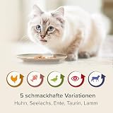 BEAPHAR – Nierendiät Mix Pack – Diätalleinfuttermittel Für Katzen Mit Chronischer Niereninsuffizienz – Zur Unterstützung Der Nierenfunktion – 6X 100 g