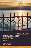  Im Zwielicht der Zeit (Familiensaga Ellinor Wohlfeil)