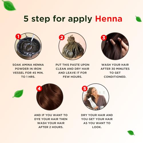 Amina Henna Unisex Natural Hair Color Mehndi (Pack of 6, Natural Brown)