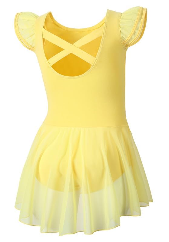 Image of DIPUG Ballet Leotards for Girls Ballet Leotard with Skirt Toddler Dance Leotards Flutter Sleeve and Criss-Cross Back