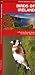 Ireland Birds: A Folding Pocket Guide to Familiar Species (A Pocket Naturalist Guide)