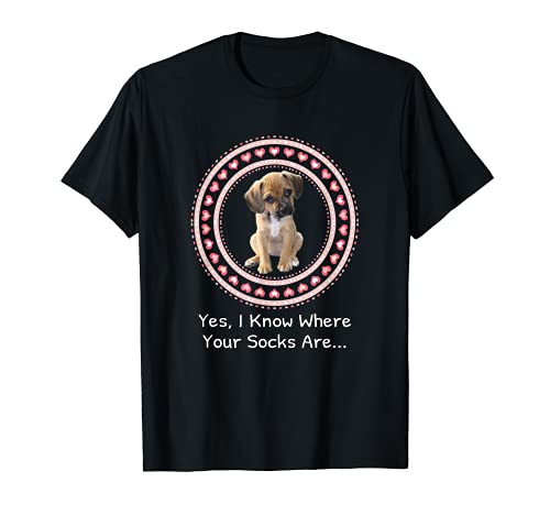 Puppy Guilty Look Dog Owner Design Mischievous Behavior T-Shirt, Black
