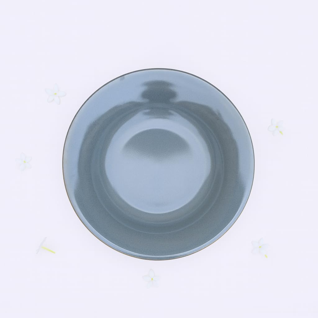 RNS GLOBAL Durable Soup Plates - Round Deep Plate Set for Soups, Stews, and Hot Dishes Design 4 3