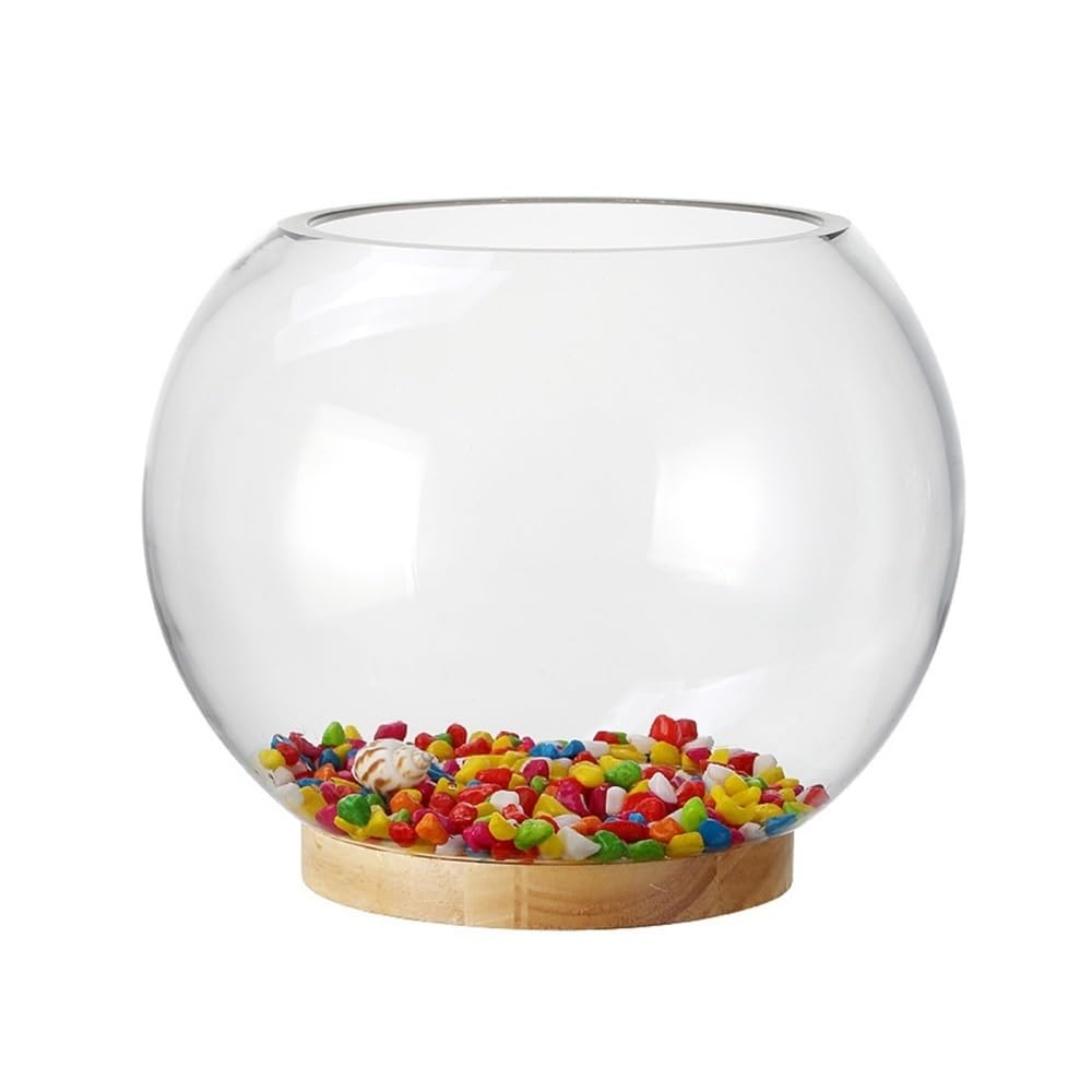 Aquarium Rundes, verdicktes, transparentes Glas-Aquarium for den Schreibtisch, rund, Goldfisch-Aquarium, dekoratives Wohnzimmer-Ornament(30cm)