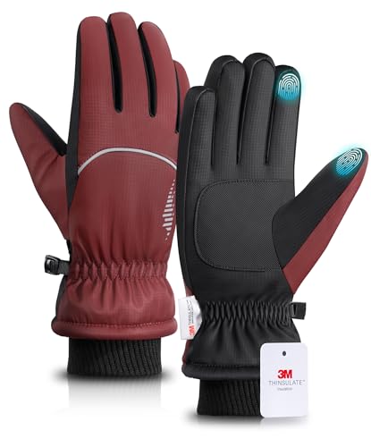 rivmount Winter Gloves with Waterproof, Touchscreen, Warm, Windproof for Women Men, Thermal Snow Glove for Cold Weather Running, Ski, Cycling, Working, Hiking, Driving, Biking, Outdoor (Red L)