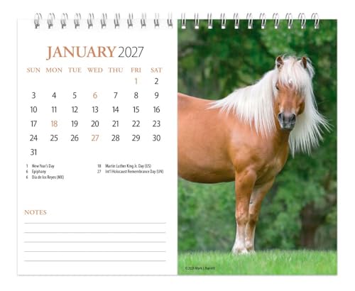 Horse Lovers | 2027 7.5 x 6 Inch Monthly Double-View Easel Desk Calendar | BrownTrout | Animals Horses Equestrian – vue 3