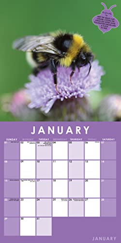 2023 Bees Square Hanging Wall Calendar - No Plastic - 12" X 12" Planner, Bumblebee Honey Bee, Queen Bee, Organizer, Home, Family, Schedule, Agenda, Gift #TOP2