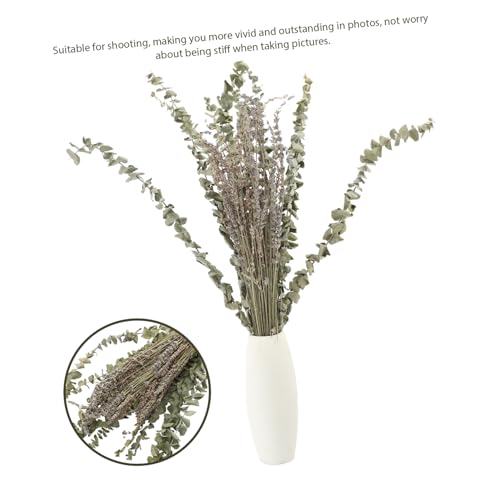 Set de hojas de eucalipto y lavanda secas preservadas miniatura 5