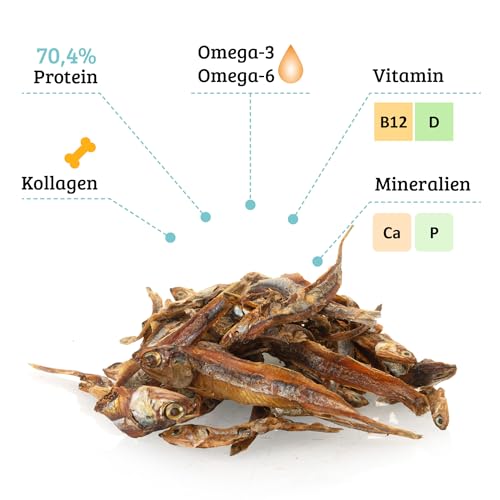 UGF - Trockenfisch für Hunde, Hunde Leckerlis - 80g im 500 Milliliter Eimer, Hundeleckerli Getreidefrei, Getrockneter Fisch, Hypoallergen, Diätetisch, Trainingsleckerli, Kauartikel