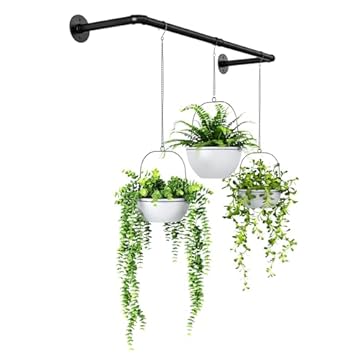 wall plant shelves for indoors