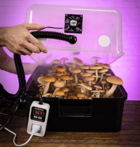 North Spore Automated 'Boomr Bin' Mushroom Monotub Kit