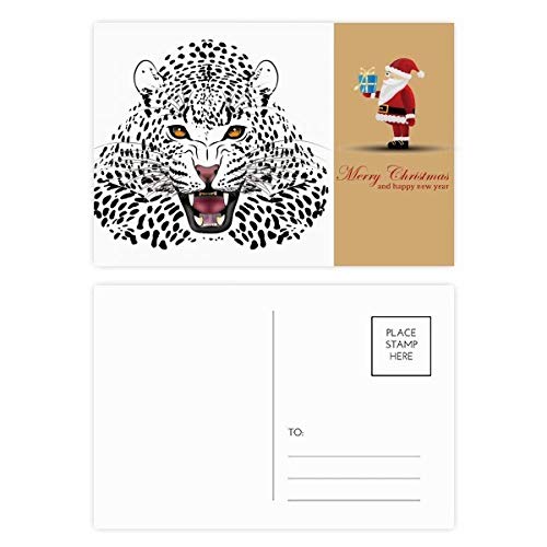 Cartes postales tigre (lot de 20) pour correspondance créative et décoration murale sauvage