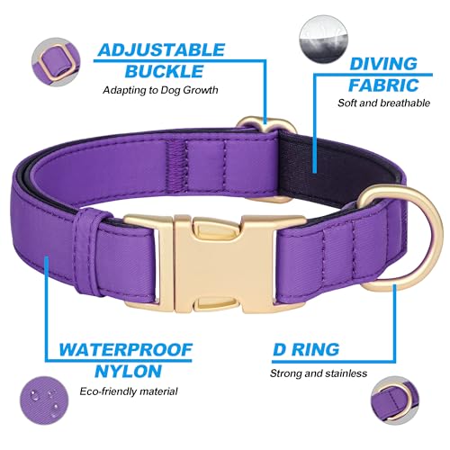 Collier chien violet M Didog rembourré imperméable - 3