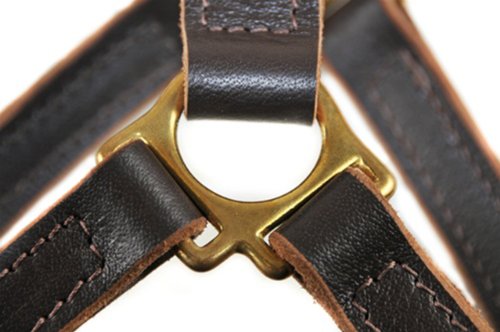 Dean And Tyler Tyler's Choice Solid Brass Hardware Leather Dog Harness With Handle, Brown, Medium - Fits Girth Size: 28-Inch To 35-Inch #TOP1