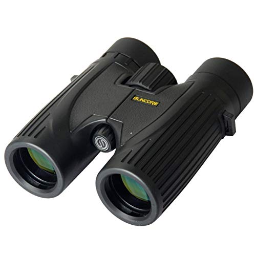 Jumelles étanches 8X32 grand oculaire avec vision nocturne faible