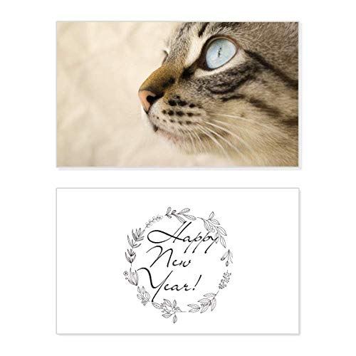 Tarjeta conmemorativa de Año Nuevo con tierno gatito de ojos azules para felicitar las fiestas