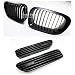 B2 2001-2006 BMW E46 M3 2D Front Grill with Side Fender Grill Vents Black