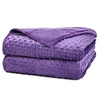Alomidds Weighted Blanket, Luxury Velvet Weighted Blankets for Kids,Warm and Breathable Soft and Comfort Minky, Cute Heavy Blanket with Premium Glass Beads (41\"x60\" 7LBS, Purple)