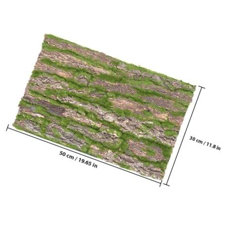 Corteza de árbol natural para terrario de reptiles con plataforma 3