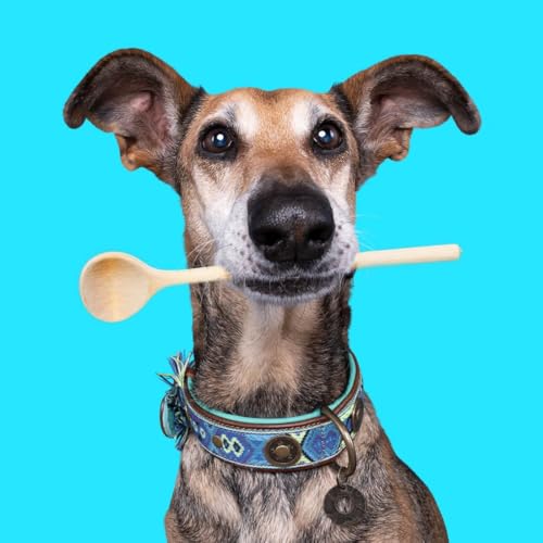 DWAM Dog with a Mission - Hundehalsband - Verstellbar - Weichem Leder – Blau – XS – Leder – Halsumfang zwischen 23–29 x 2 cm – Boho Juan