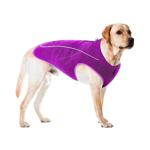 Image of Insulated Fleece Sweater for Dogs | Lightweight Warm Dog Vest | Zipper Port for Harness | Cold Weather Winter Jacket | Rain Snow Repellant Coat | Adjustable for Small Medium Large Girl Dogs (Purple /L)