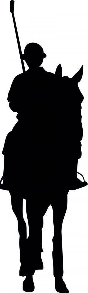 Polo Sport Silhouette - 8 Wall Decal - 42 Inches H x 13 Inches W - Peel and Stick Removable Graphic