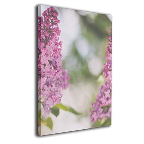 Tour Edge Exotics Golf Balls