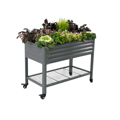Gray steel elevated raised bed on legs with rolling base and storage rack — shows the height and build that win this set
