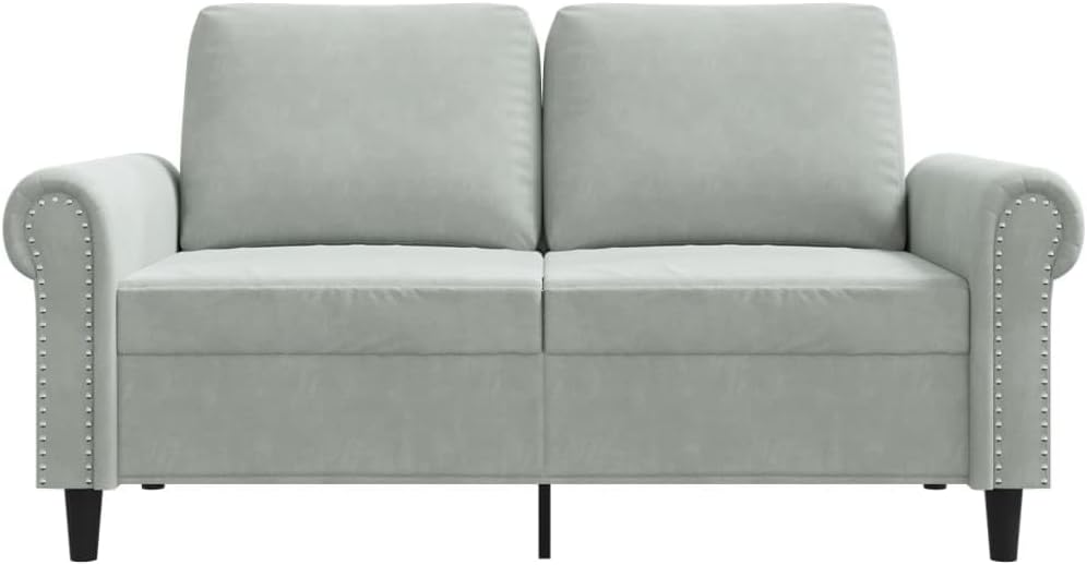 2-Seater Sofa Light Grey Velvet (100% Polyester) Living Room Furniture