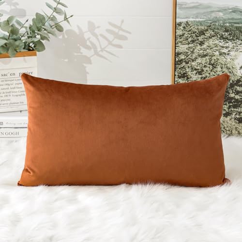 Artscope Luxury Velvet Cushion Covers Super Soft Decorative Throw Pillow Covers Case Lumbar Cushion Cases for Sofa Couch Bedroom Car Decor 30x50cm Orange - Image 3