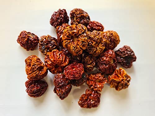 Dried Scotch Bonnet Chilli Pods Stemless Whole 20g Chilli Wizards