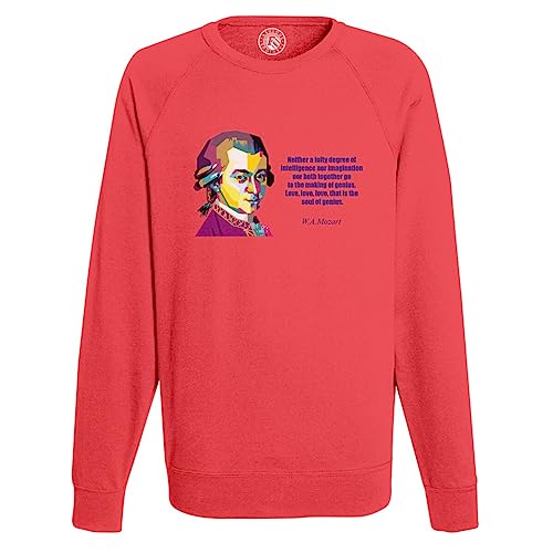 Sweat shirt Mozart homme parfait pour les journées de création musicale