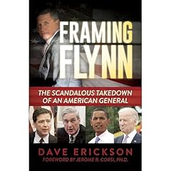 Framing Flynn Audiolibro Por Dave Erickson arte de portada