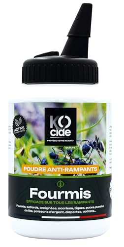 Poudre anti-fourmis K-OCIDE la solution naturelle pour stopper les invasions