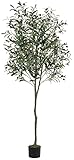 VIAGDO Artificial Olive Tree 6ft(70in) Tall Fake Potted Olive Silk Tree with Planter Large Faux Olive Branches and Fruits Artificial Tree for Modern Home Office Living Room Decor Indoor, 1176 Leaves