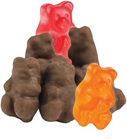 Chocolate Covered Gummi Bears- 2 lbs.