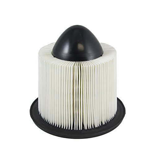 Ecogard Xa4878 Premium Engine Air Filter Fits Ford F-150 1997-2008, Expedition 1997-2004, E-350 1999-2019, F-250 Super Duty 1999-2004, E-250, Mustang 1996-2004, E-150 2003-2014 #TOP1