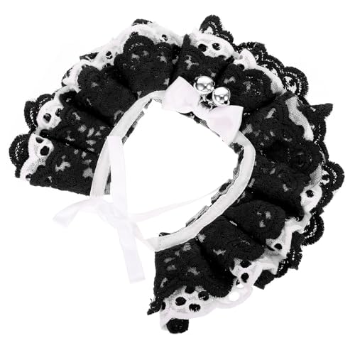 healvian ybgpȃ[X悾ꂩ у~jxt Lp ŒʋCǍD 