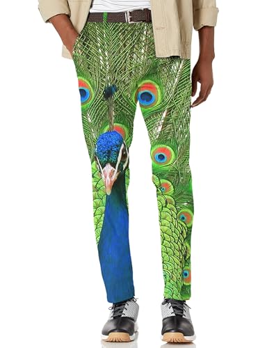Maylian Men's Peacock Flaunting its Tail Stretch Golf Pants Trousers (44W x 30L) Multi