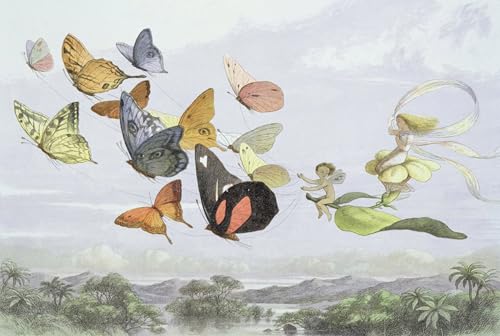 Illustration carrosse de la reine Richard Doyle tableau de maître pour chambre