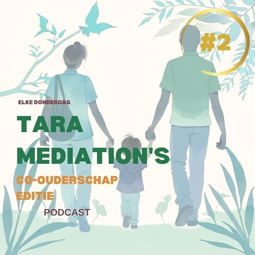 2.2 De Co in Co-ouderschap: Samenwerkende ouders - De rol van een gestructureerd co-ouderschapsplan bij het bevorderen van positieve samenwerking tussen ouders ten behoeve van het kind.