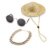 Las gafas de sol y el sombrero ofrecen a tu cachorro una buena protección al aire libre