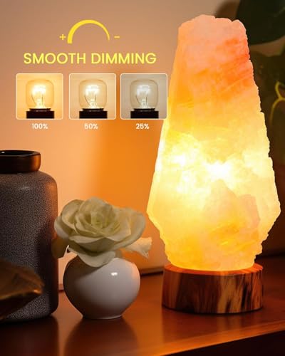 Bonlux E14 26W Backofenlampe, SES E14 Pygmy-Lampe, Hitzebeständig Bis 300 °C, Warmweiß 2700K, 230V für Mikrowellenherd, Dunstabzugshaube, Salzlampe, Kühlschrank, Herd, Gefrierschrank (2er-Pack)