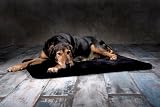 Werner Christ ® Lammfell Hundedecke Hundeteppich/Hundematte Chilly aus echtem Schaffell, der ideale Schlafplatz für Ihren Hund, Größe 50 x 80 cm in schwarz