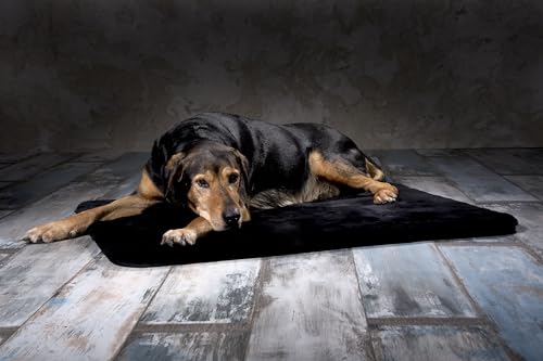 Werner Christ ® Lammfell Hundedecke Hundeteppich/Hundematte Chilly aus echtem Schaffell, der ideale Schlafplatz für Ihren Hund, Größe 50 x 80 cm in schwarz